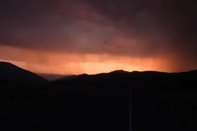 DSC_1846 (Large).JPG